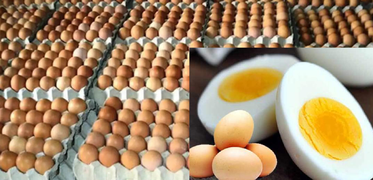 बढ्यो अण्डाको मूल्य, प्रतिक्रेट कति?