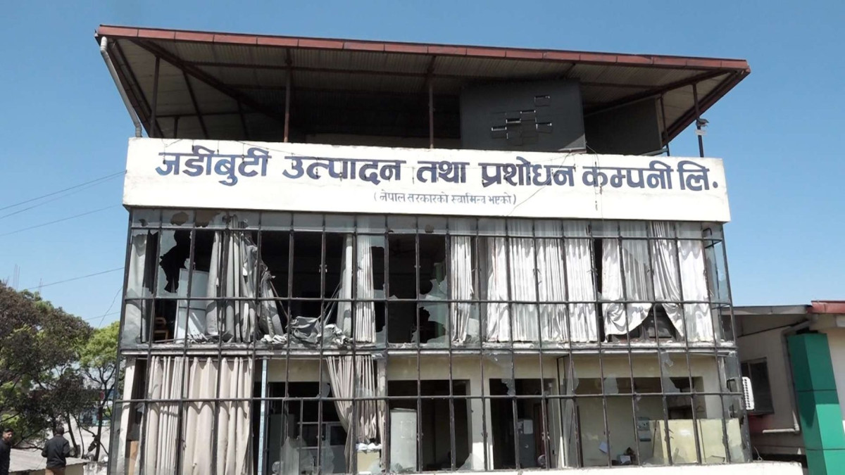 ‘चाँडै बौरिने छ जडीबुटी कम्पनी’