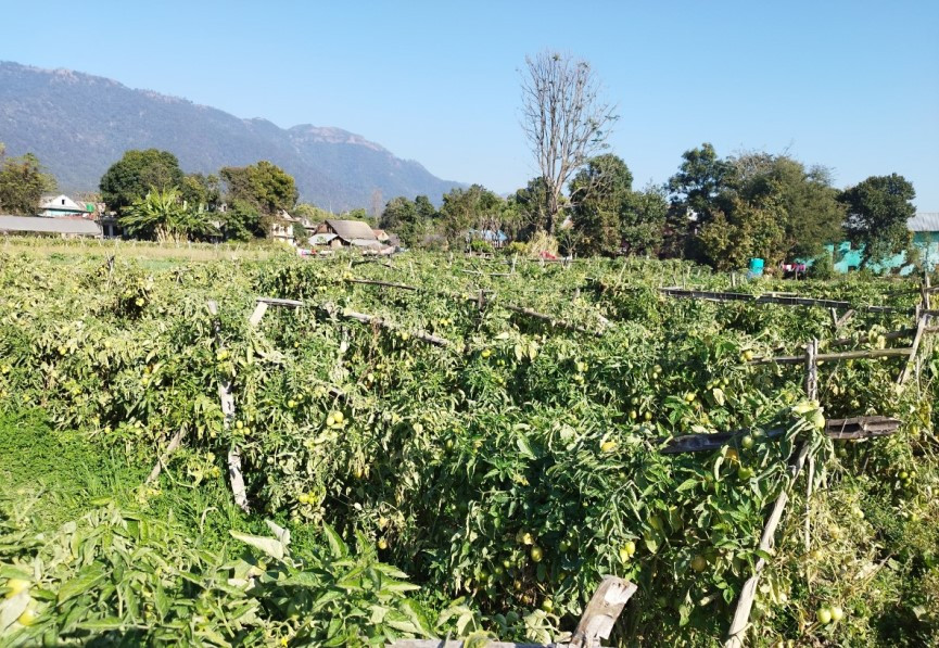 समूहबाट आर्थिक समृद्धि खोज्दै दाङका महिला
