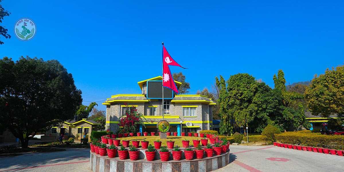 जलस्रोत तथा ऊर्जा विकास मन्त्रालयको एक हजार बढी योजना