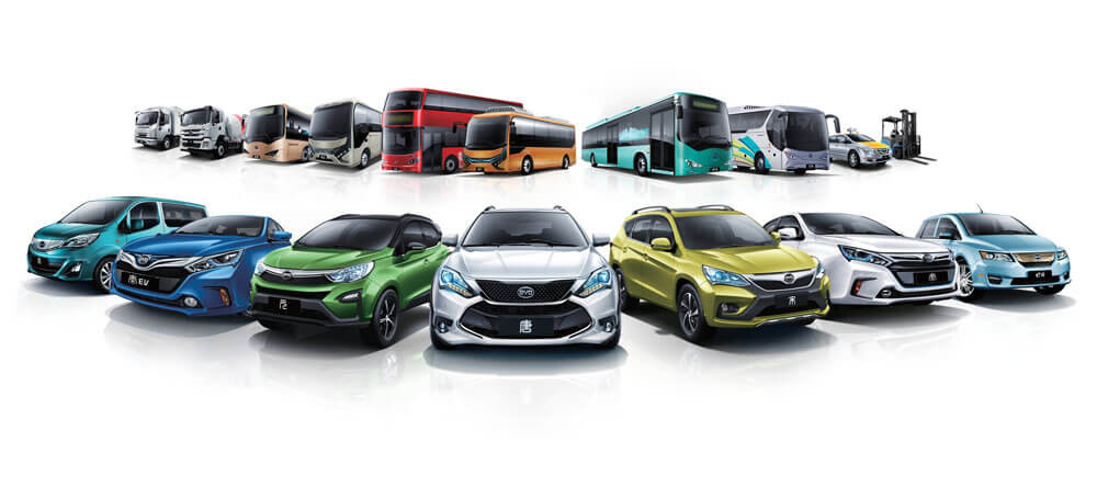 byd_line-up_2015.1.jpg