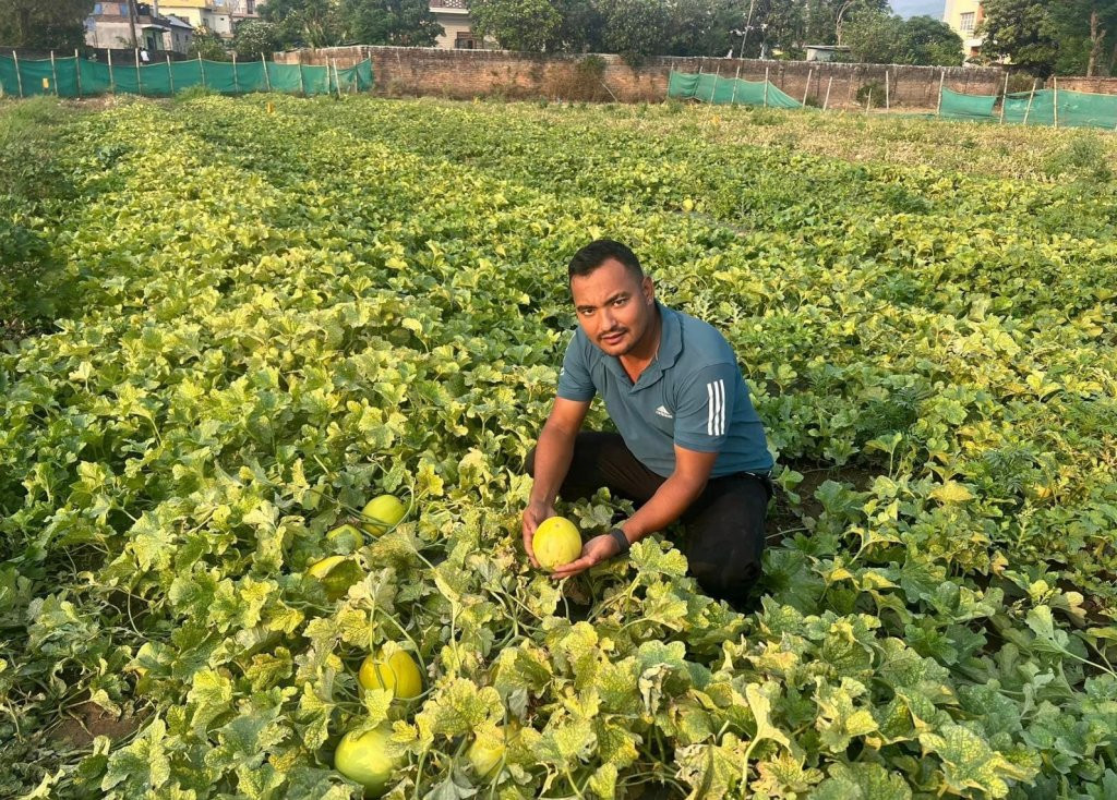 बगरमा तरबुजा खेती, बर्षमै १२ लाख आम्दानी