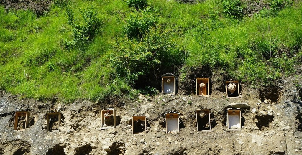 म्याग्दीमा व्यावसायिक अरिङ्गालपालन