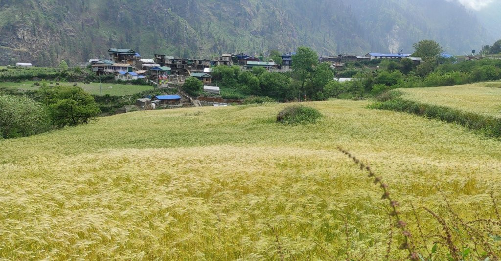 खेती गर्ने समय पनि परिवर्तन हुँदै
