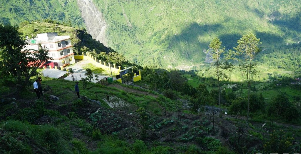 झाडी फाडेर विद्यार्थीले गरे तरकारी खेती