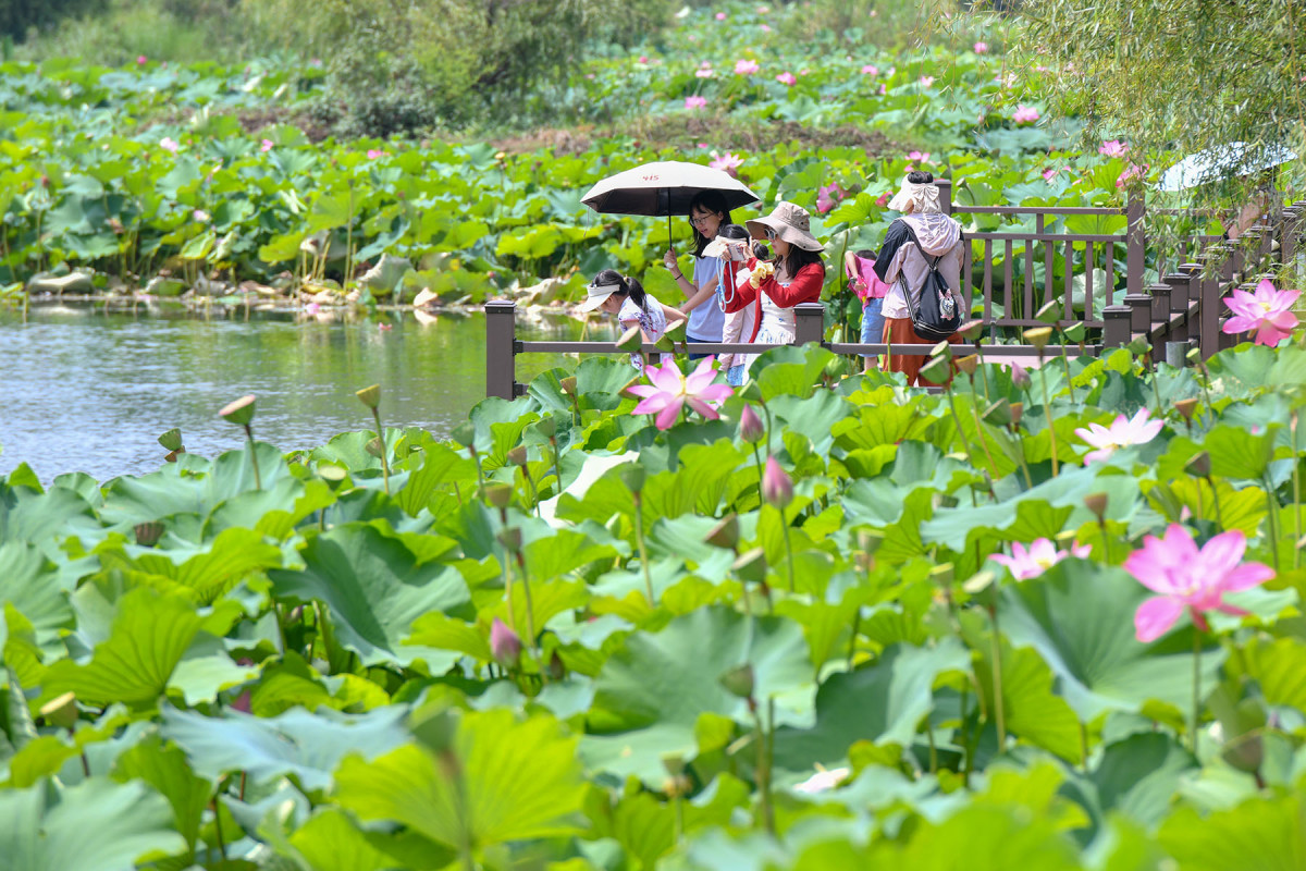 CHINA-YUNNAN-WENSHAN-PUZHEHEI-TOURISM+(CN)XxjpbeE007146_20250717_PEPFN0A001.JPG