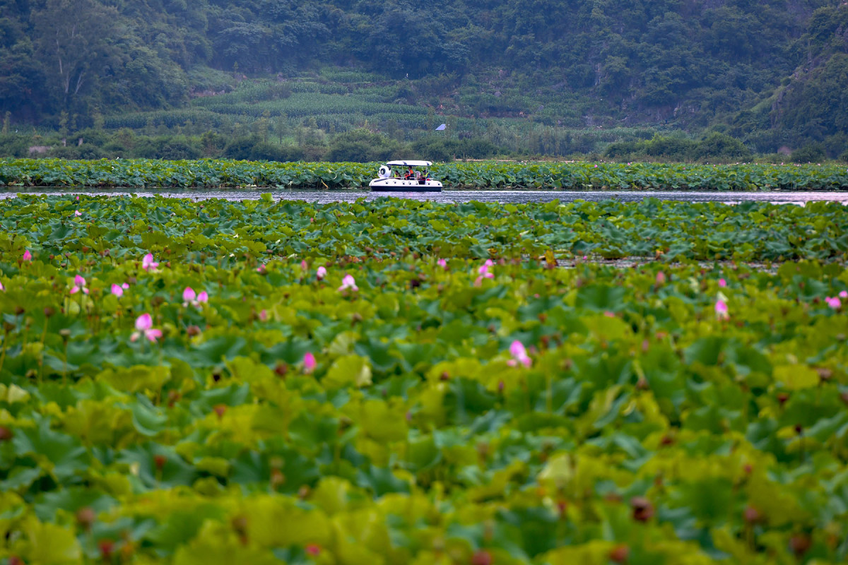 CHINA-YUNNAN-WENSHAN-PUZHEHEI-TOURISM+(CN)XxjpbeE007141_20250717_PEPFN0A001.JPG
