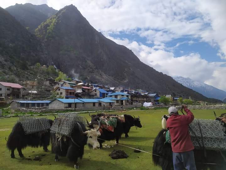नाक्चेलाग्ना नाका दुई साताका लागि खुल्ने