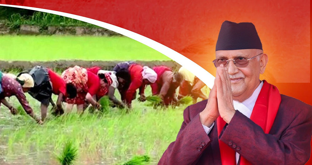 आगामी वर्षदेखि तराईमा सिँचाइको स्थायी समाधान ल्याउने सरकारको संकल्प छ: प्रधानमन्त्री ओली
